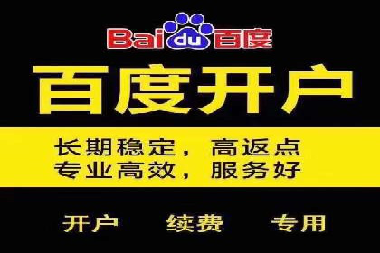 百度竞价关键词选择策略及成功案例分析